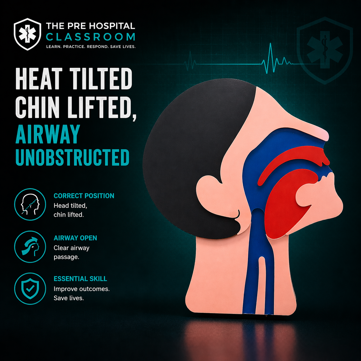 Jaw Thrust Airway Training Device - 2