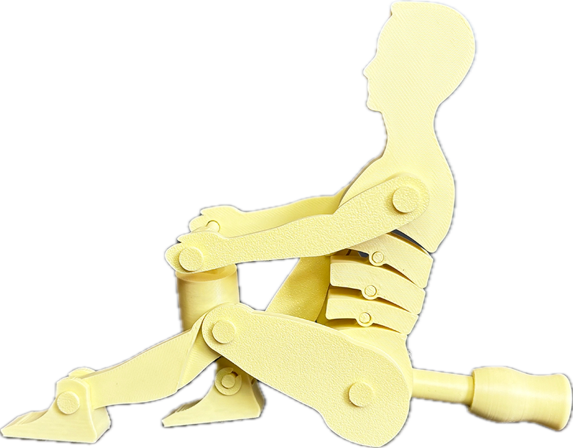 Manual Handling Lifting Demonstrator - 2