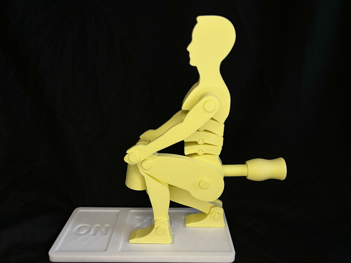 Manual Handling Lifting Demonstrator - 4