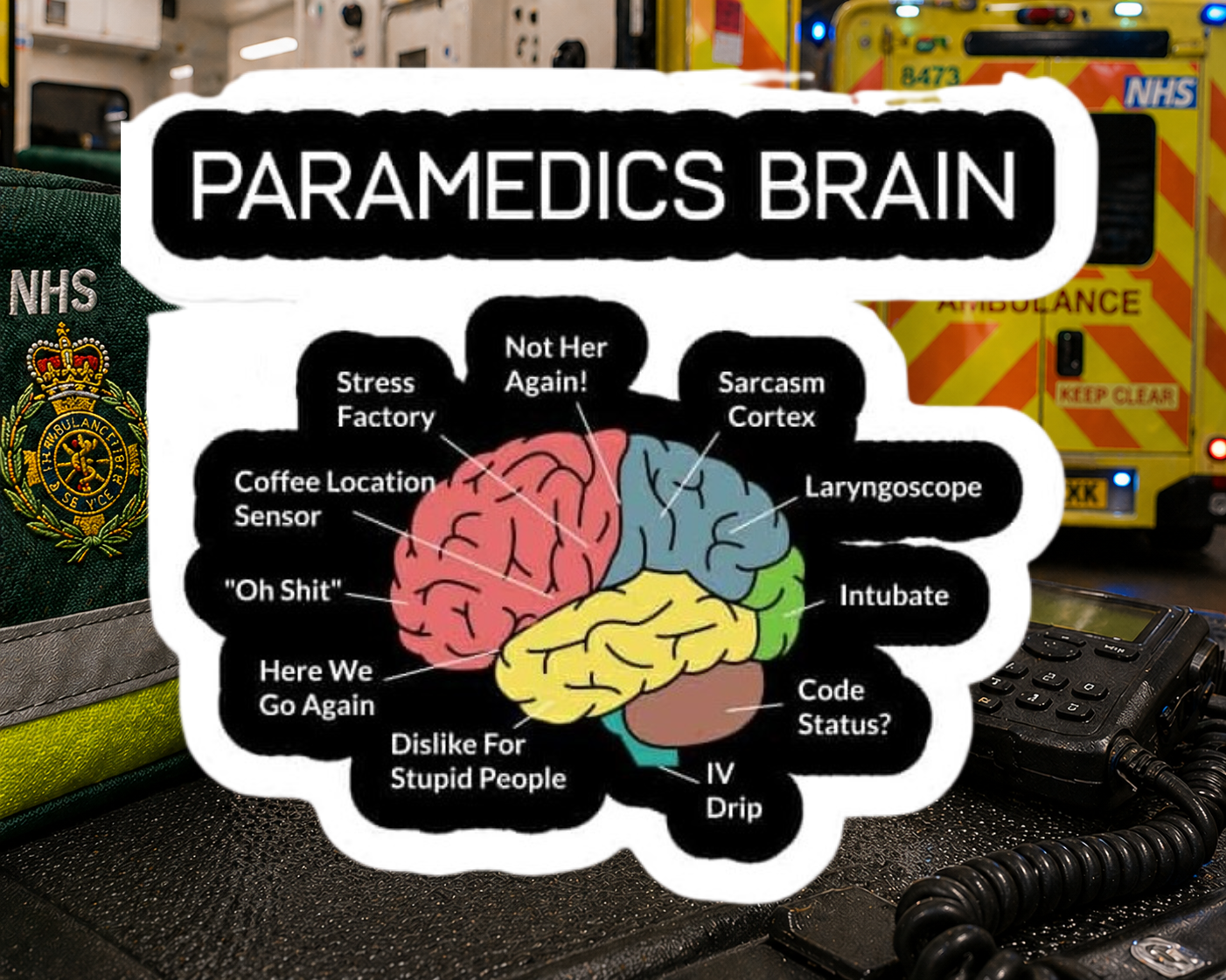 Paramedics Brain